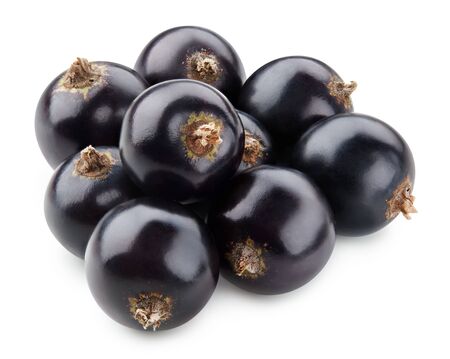 Black currant isolated on whiteの写真素材