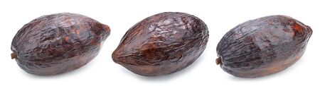 cacao isolated on white backgroundの写真素材