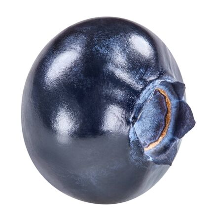 Blueberry isolated on whiteの写真素材