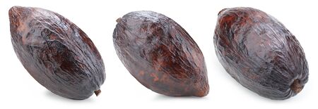 cacao isolated on white backgroundの写真素材