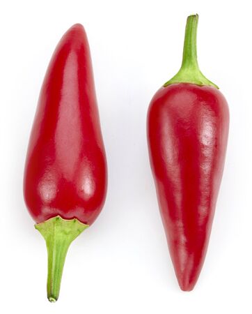 chili pepper isolated on whiteの写真素材