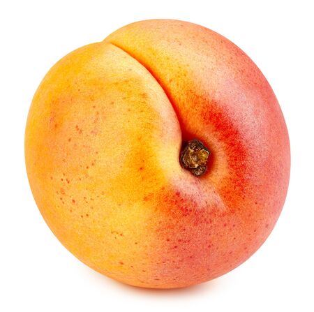 Apricot fruit isolated  on whiteの写真素材