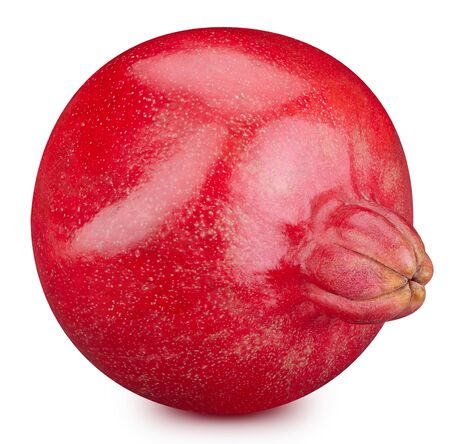 Pomegranate fruit isolatedの写真素材