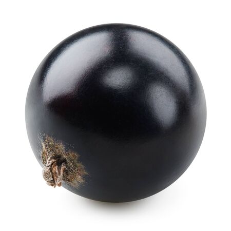 Black currant isolated on whiteの写真素材