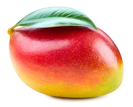 Mango isolated on white Clipping Pathの写真素材