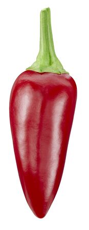chili pepper isolated on whiteの写真素材