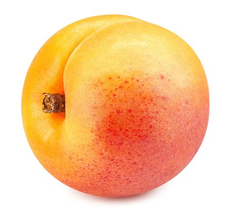 Apricot fruit  isolated on whiteの写真素材