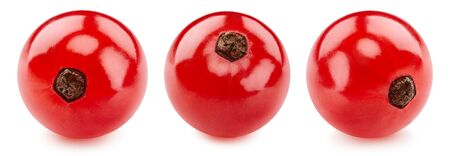 Red currant fruit isolated on whiteの写真素材