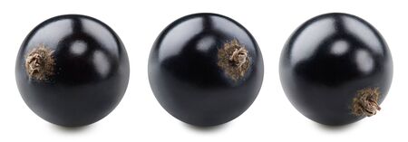 Black currant fruit isolated on whiteの写真素材