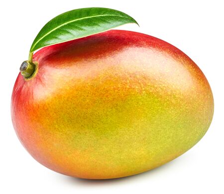 Mango fruit isolated on whiteの写真素材