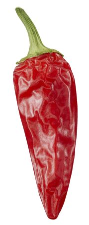 chili pepper isolated on whiteの写真素材