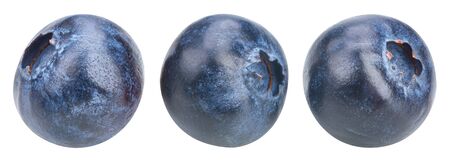 Blueberry isolated on whiteの写真素材