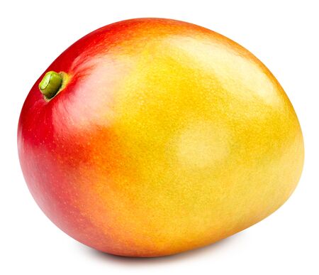 Mango fruit isolatedの写真素材