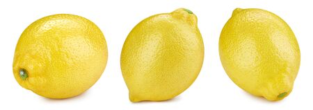 Lemon fruit isolatedの写真素材