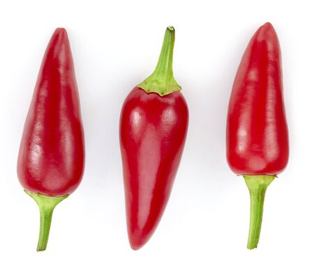 Red chili pepper isolated on white background. Hot spice, red chili pepper clipping path.の写真素材