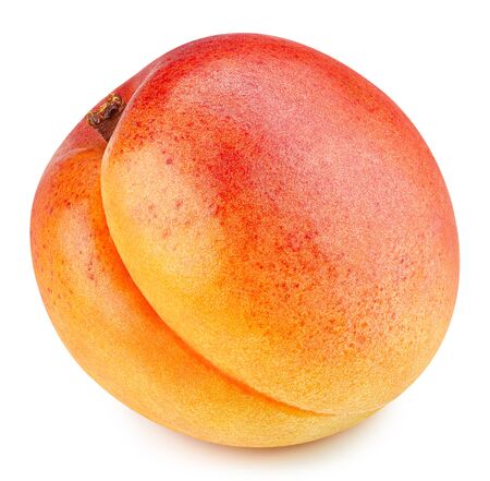 Apricot isolated on white background. Apricot fruit Clipping Pathの写真素材