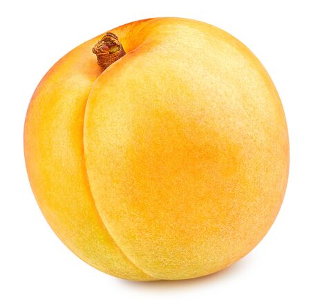 Apricot isolated on white background. Apricot fruit Clipping Path. Quality macro photoの写真素材