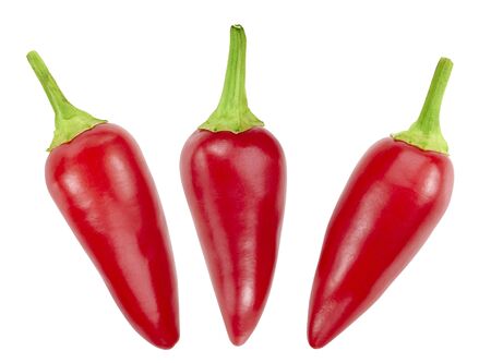 Chili isolated on white. Ripe fresh chili collection Clipping Pathの写真素材