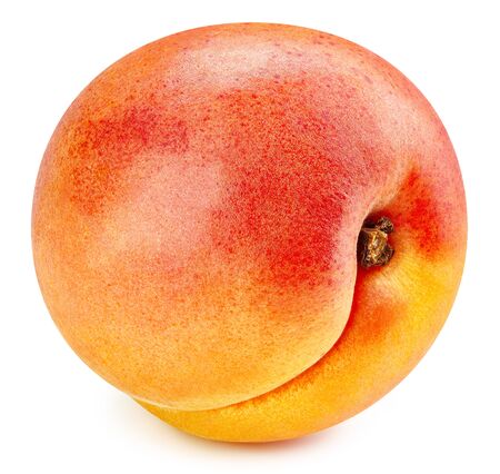 Apricot isolated on white background.の写真素材