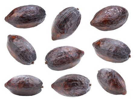 Collection cocoa pods. Cocoa pods on a white background.の写真素材