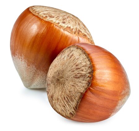 Hazelnut isolated on white background.の写真素材