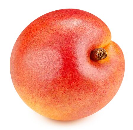 Apricot isolated on white background.の写真素材