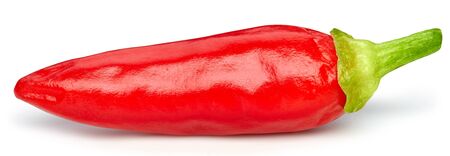 Pepper. Fresh organic pepper isolated on white background. Pepper macroの写真素材