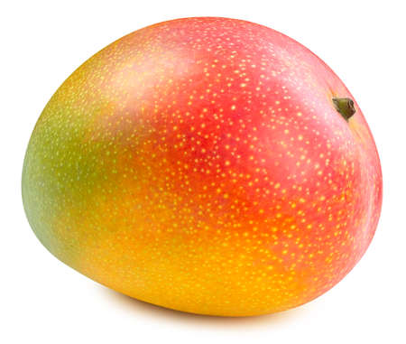 Juicy mango isolated on the white background.の写真素材