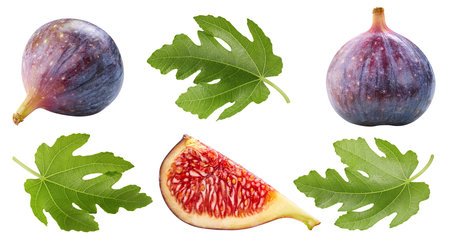 Fig with leaves on the white backgroundの写真素材
