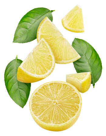 Lemon fruit with lemon slices and leaves isolated on white background.の写真素材