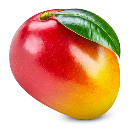 Mango fruit isolated on white background.の写真素材