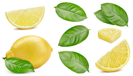 Lemon and green leaves isolated on white background.  Lemon collection macro studio photoの写真素材