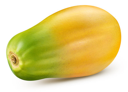 Papaya fruitの写真素材