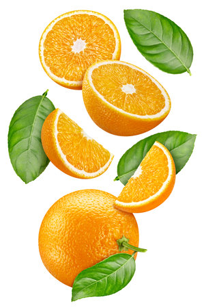 Ripe whole Orange and sliceの写真素材
