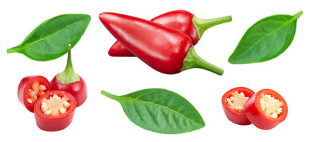 Red hot chili pepper isolated on white background. Cayenne pepper collectionの写真素材