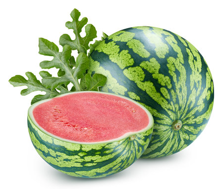 Watermelon isolated on white background. Fresh watermelon leaf. Clipping path watermelon. Watermelon macro studio photoの写真素材