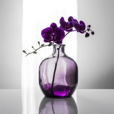 Purple orchid in a glass vase on a white backgroundの素材