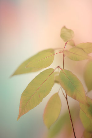 Green leaves with blurred background, soft focus, vintage filter effect.の素材