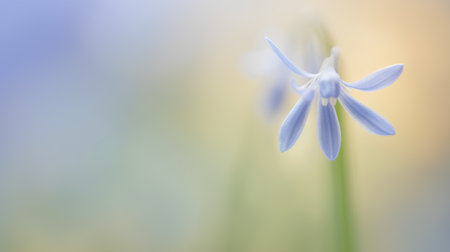 Blue snowdrop flower on blurred background. Springtime. Copy space.の素材