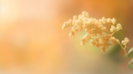 flowers in soft color and blur style on mulberry paper backgroundの素材