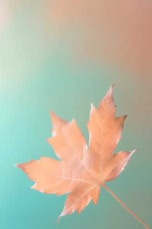 Autumn maple leaf on pastel background. Minimal concept.の素材