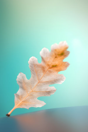 Autumn oak leaf isolated on blue background. Minimal style.の素材