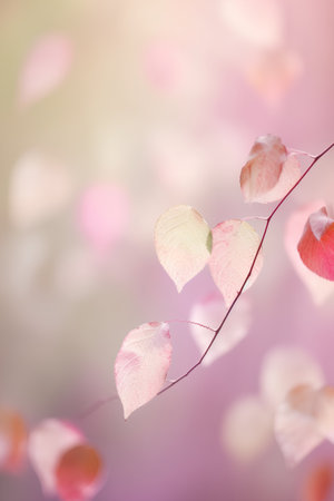 Autumn background with colorful leaves and bokeh effect, soft focusの素材