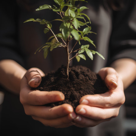 Hands holding young green plant in soil. Earth day concept.の素材