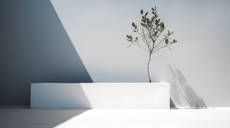 Minimalist interior design, 3D render minimalistic scene with white podium and shadowの素材