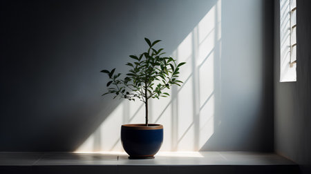 Small tree in a pot on the windowsill. 3d renderingの素材