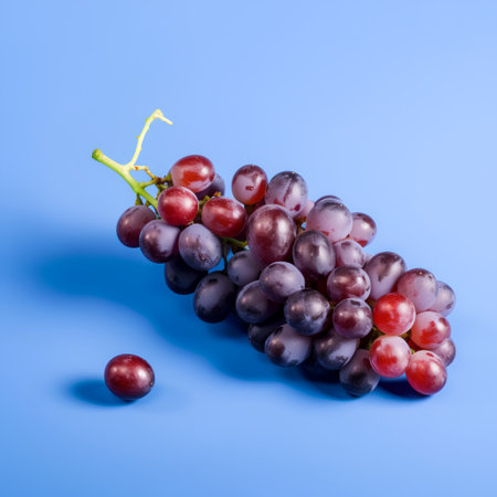 Bunch of red grapes isolated on blue background. Top view.の素材