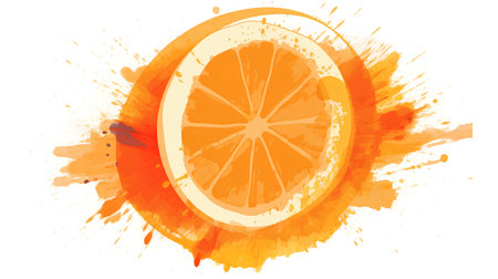 Orange slice on a white background with splashes. Vector illustration.の素材