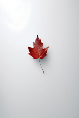 Autumn maple leaf isolated on white background. Realistic vector illustration.の素材