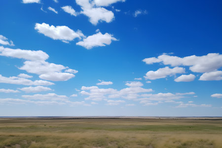 Landscape of steppe under the blue sky with white clouds.の素材